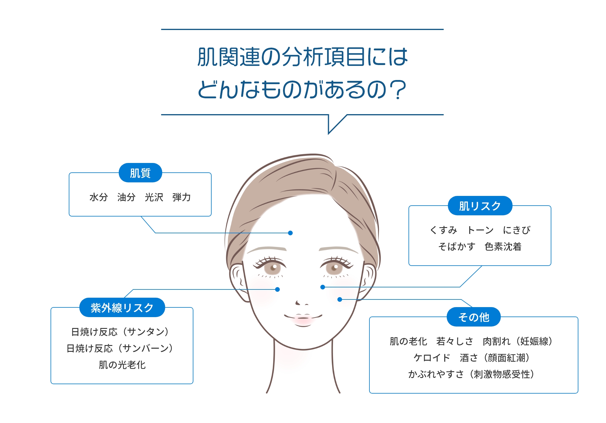 肌関連の分析項目にはどんなものがあるの？ 肌質 肌リスク 紫外線リスク その他